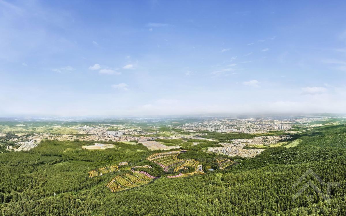 Fazenda Itapety - Investimoveis